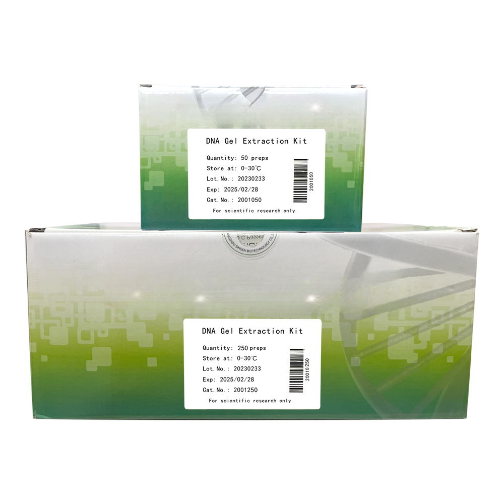 DNA Gel Extraction Kit