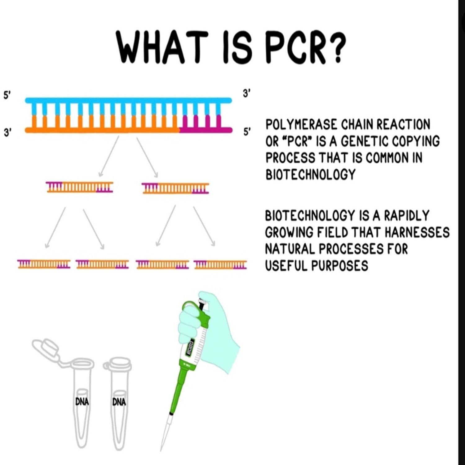 PCR, multiple PCR, In situ PCR different
