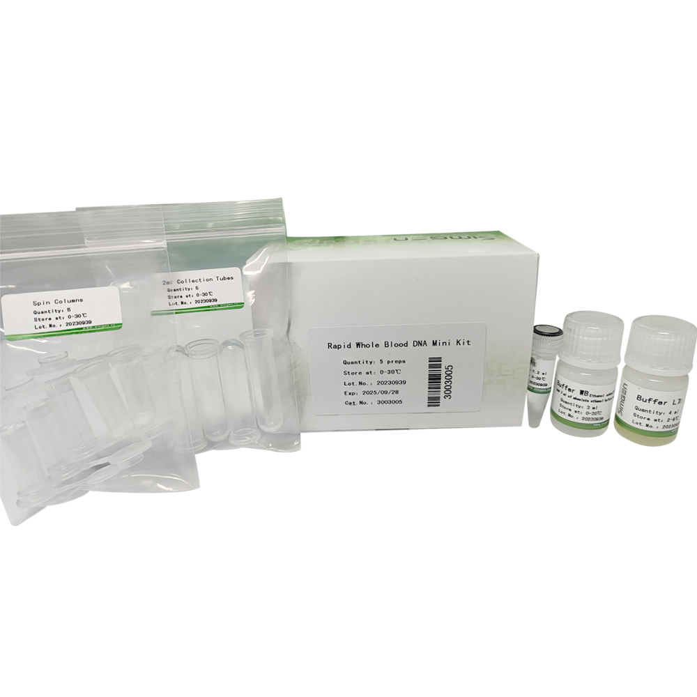 Rapid Whole Blood DNA Mini Kit