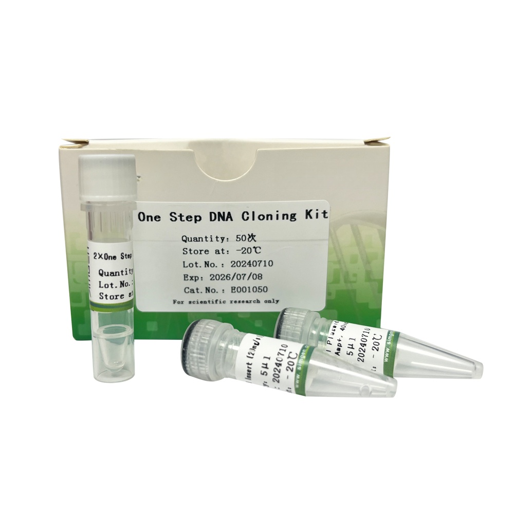 One Step DNA Cloning Kit 