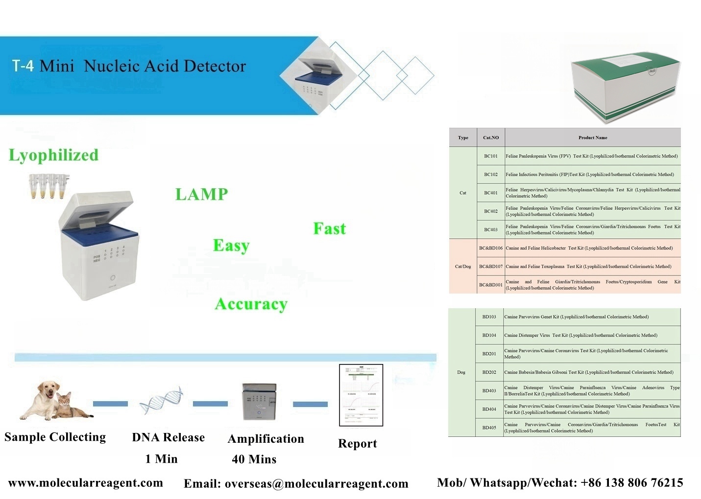 Portable Isothermal Nucleic Acid Amplification Analyzer