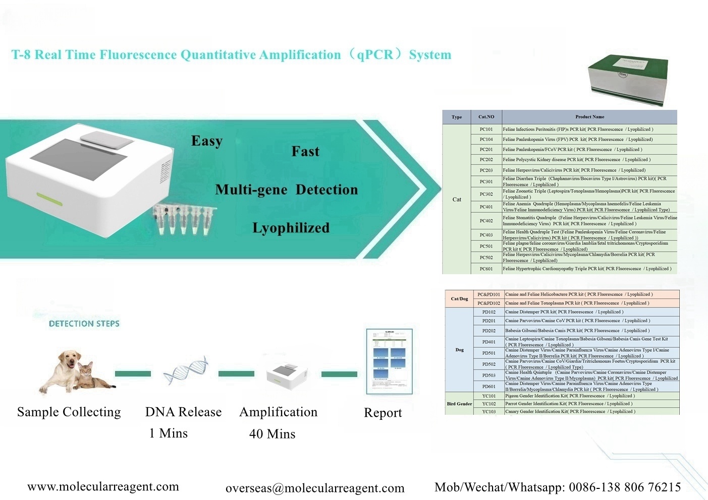  Real time PCR Fluorescence  Quantitative Amplification (qPCR)System